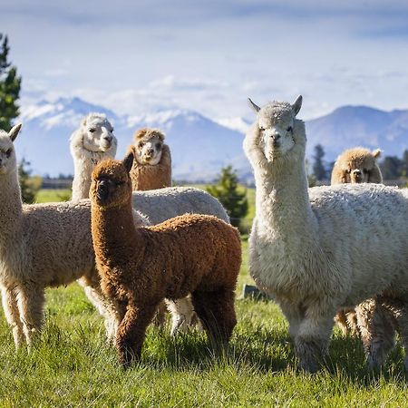 Criffel Station Farmstays Luggate エクステリア 写真